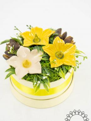 Blumenbox mit Malven - Gelb